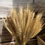 H6f5992195d45484885c2f33d0e9c8d59C