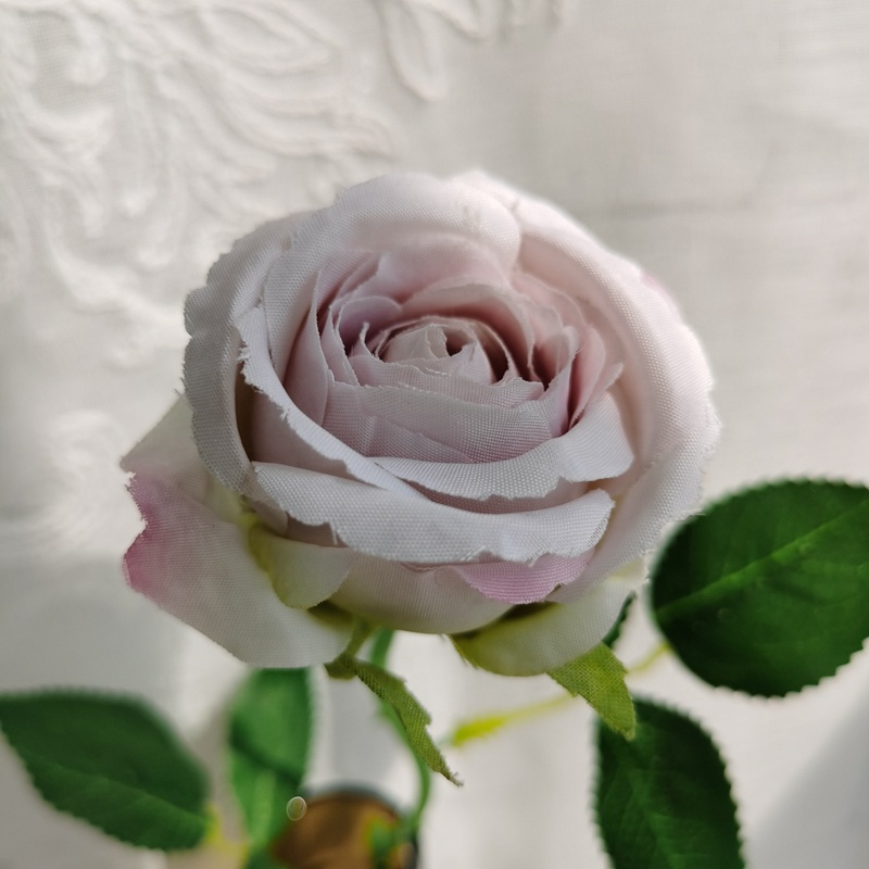 H73778af99c65469a9e67746e610f28b4t-1