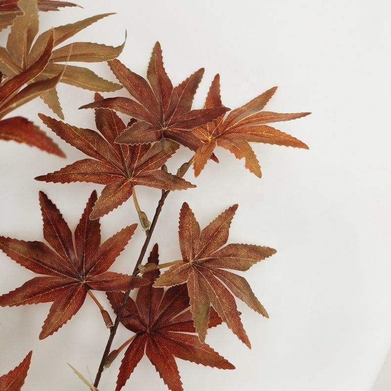 H89b1edaf1f404489bb1b22547d7540d48