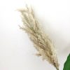 Fake pampas grass artificial flower plastic phragmites for home decor