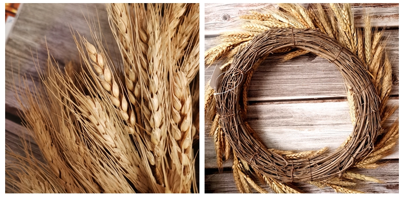 Artificial flower new arrival natural decorative dried loose gold wheat door wreath