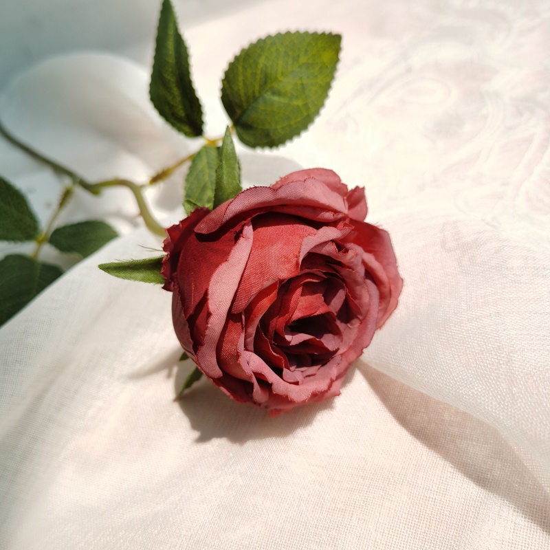 H91e0f5ee83da48ca9c8c3b26e507ef36O