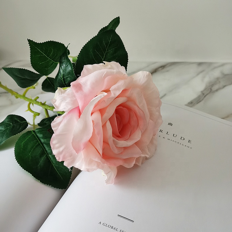 H949a62a7a77346f1b4756f78c9b6f03dT