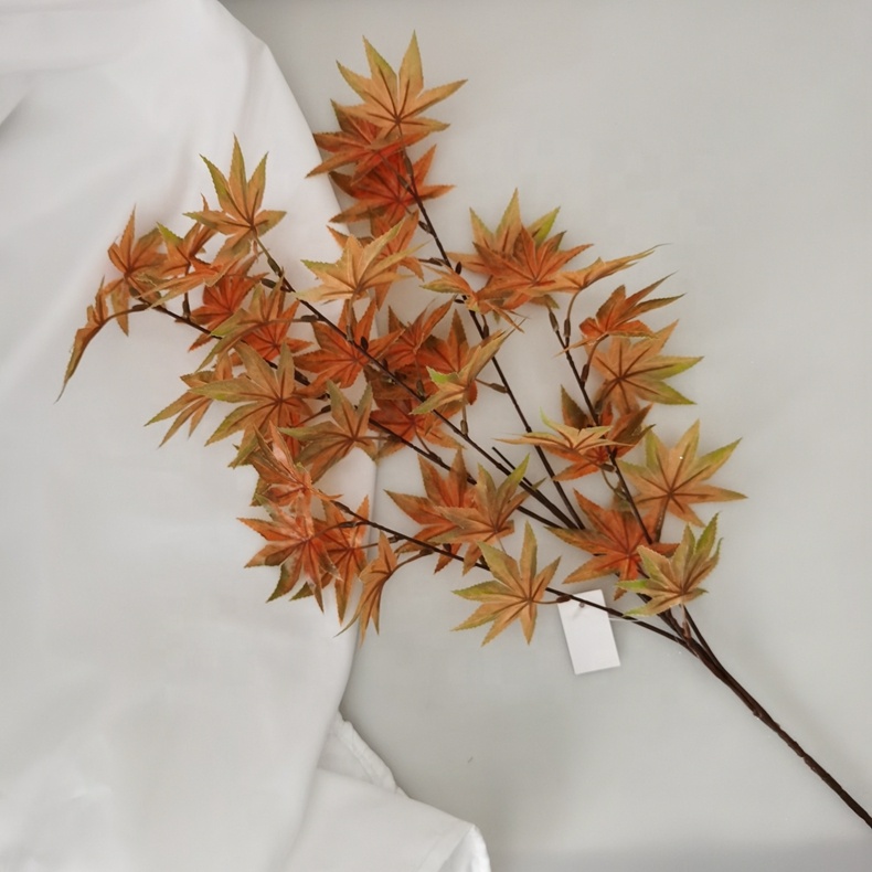 H94c530f2c8d64d7bb0e479e9aee57339z