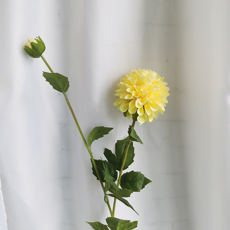 H95ffd8e9f16043459b4149732c7733f8n