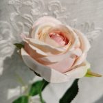 H9a8fc1f3805147cbb53aadf4ca4d701aH-1