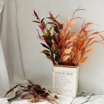 Haf72c8671df648818a9b146ecff853eab