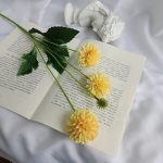 Hb55576c44b284ac595f93058e45449baF