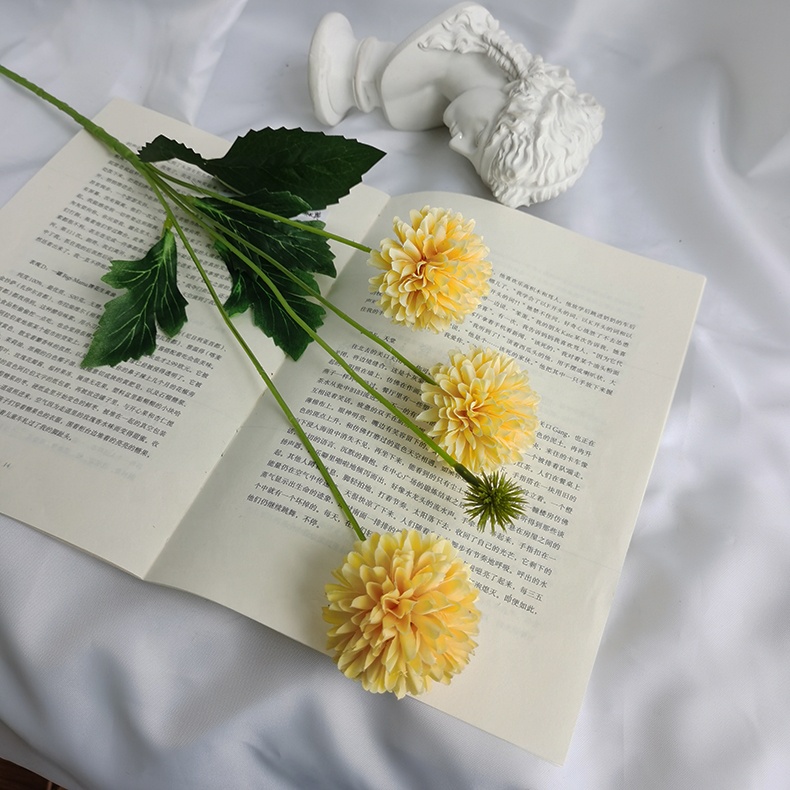 Hb55576c44b284ac595f93058e45449baF