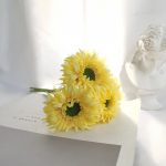 Hb7b019c59d1143d7913e688fa0026554F