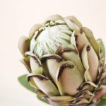 Hb826a13ee29d4e97bfd424835d54638br