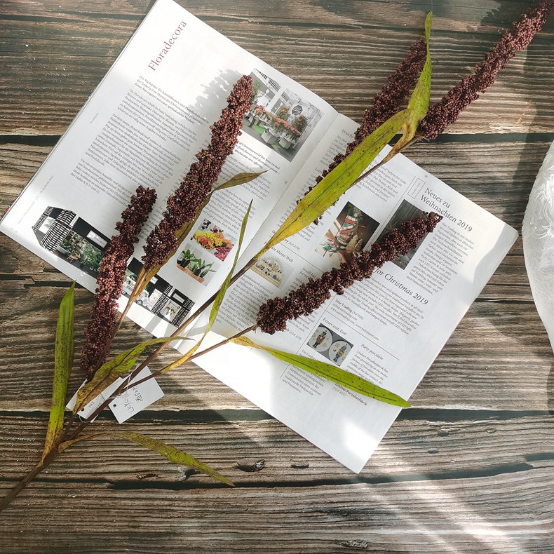 Hc0e7c7c76566404eacb23d213c024533l-1