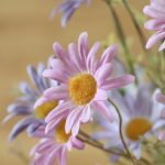 Hc84304611230405886b57137f3e213b5o