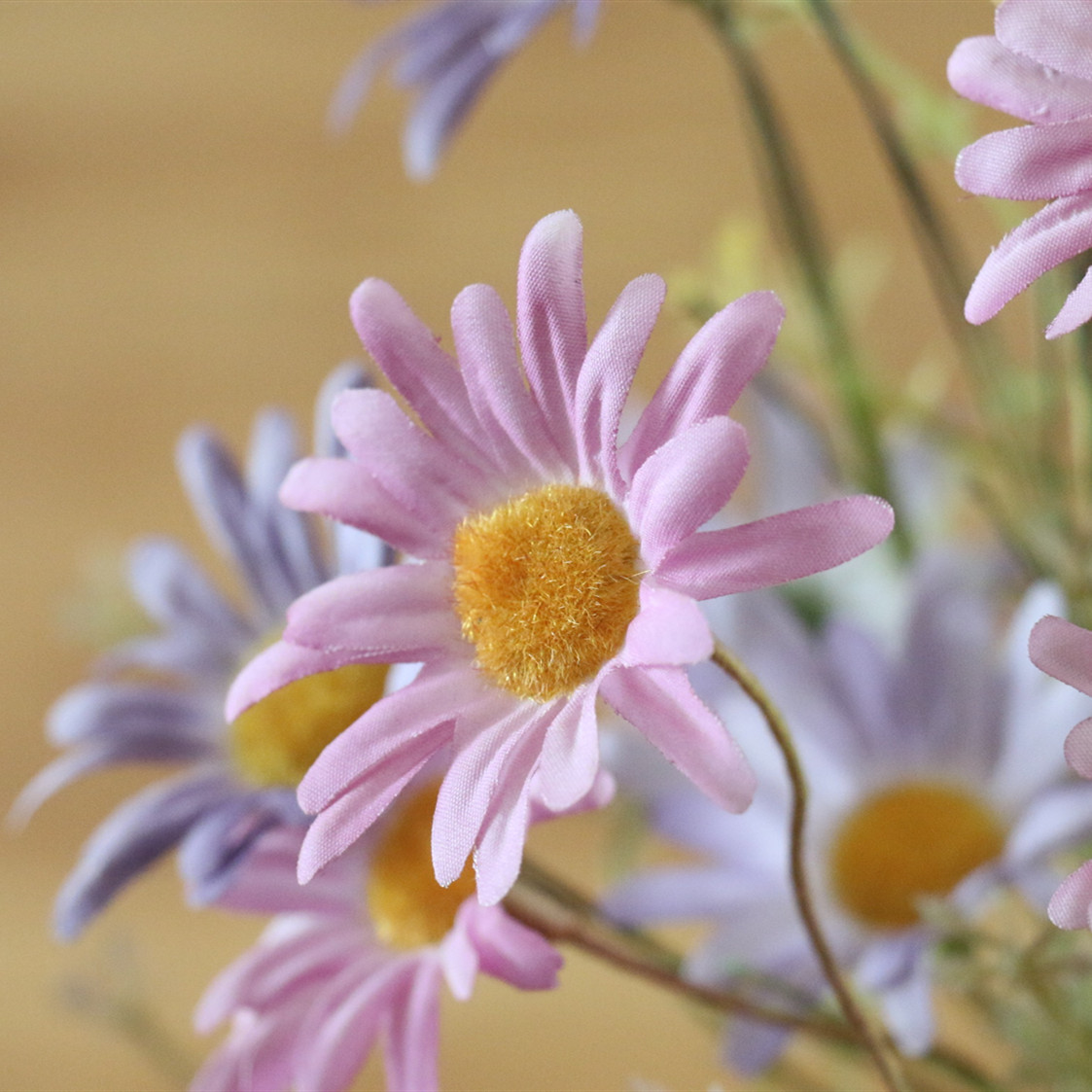 Hc84304611230405886b57137f3e213b5o