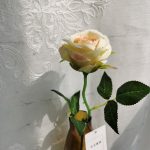 Hc84425a1b2654fd9a36275585e8782a3J-1