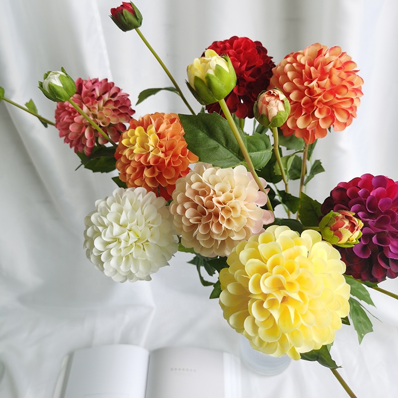 Hdd0342cef169463cbec2dbd21f8b3ca0S