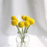 Hde437a58bb94444599b97f662acad51bu