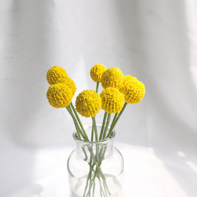 Hde437a58bb94444599b97f662acad51bu