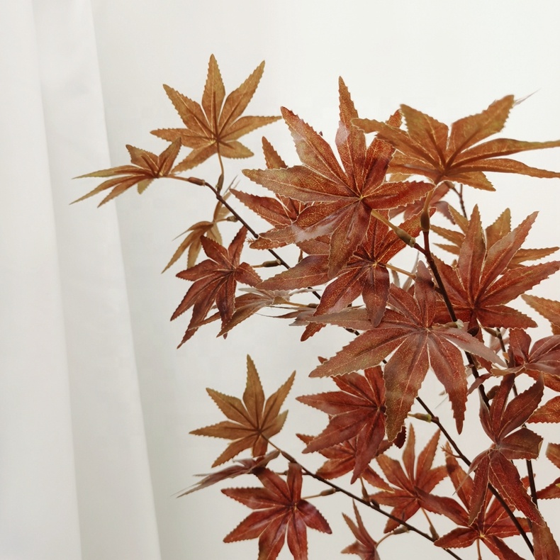 Hdeb48107a07b405caeadc02d832704b2z