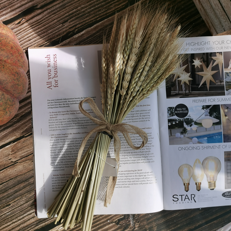 He018fe504f264973a66e810b31af0656Y