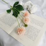 He71e3a5ce7e447eb8cc35cde29b3283dq