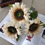 Heee2845289dc4e92b8a01d8076daaf0bL