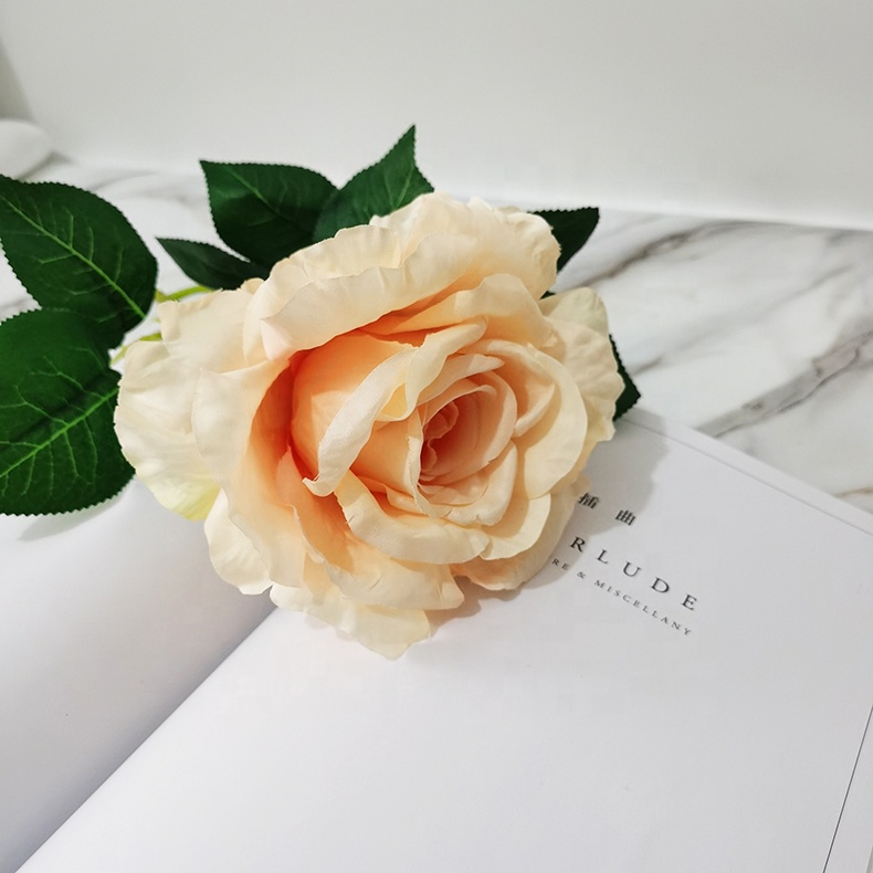 Hf23c26b5ca4a473d9642deac358b8214D