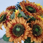 Hf4bd0749b2dc48a797bc7b0cde8052b97