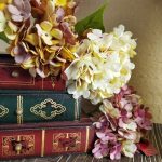 Hfbb96e15a2884e32b04fd4b4aa5e9a2eu