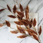 Hfd9526fe843341ddb4cd346e07dcb920T